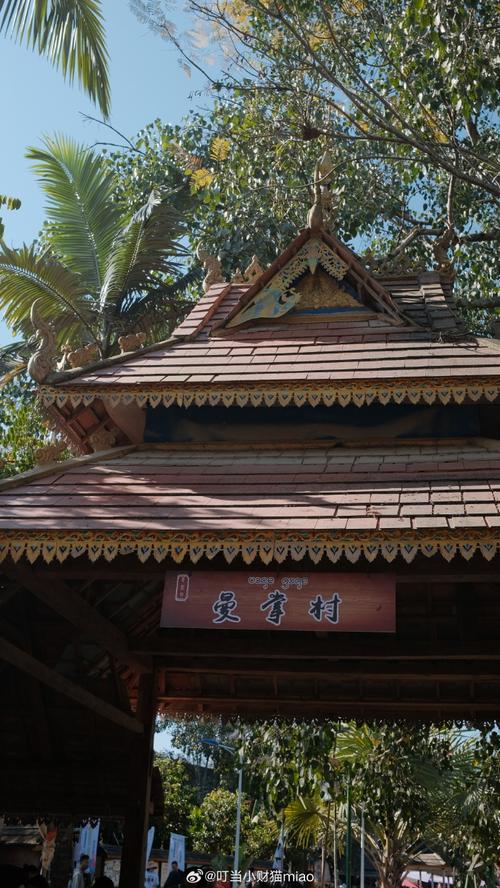 藤藤de旅行日记 寒假带着微博去旅行，记录冬日里的温暖足迹